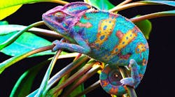 Chameleon-inspired 3D printing technique uses one ink to print different colors, including red, gold, and green Chameleon-inspired 3D printing technique uses one ink to print different colors, including red, gold, and green