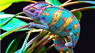 Chameleon-inspired 3D printing technique uses one ink to print different colors, including red, gold, and green