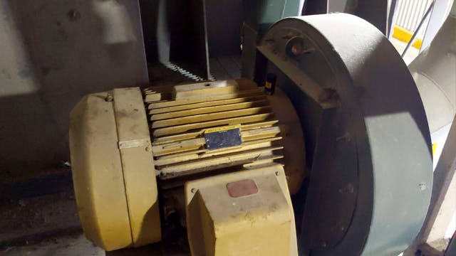 Selecting the ideal predictive maintenance plan for your motors