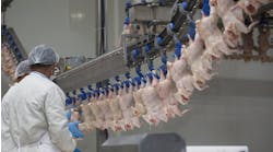 Poultry processors pay $4.8 million for hiring children as young as 14 to work dangerous jobs