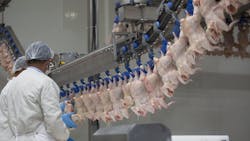 Poultry processors pay $4.8 million for hiring children as young as 14 to work dangerous jobs Poultry processors pay $4.8 million for hiring children as young as 14 to work dangerous jobs