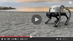 Vacuum-equipped robot dog hates trash, especially cigarette butts Vacuum-equipped robot dog hates trash, especially cigarette butts