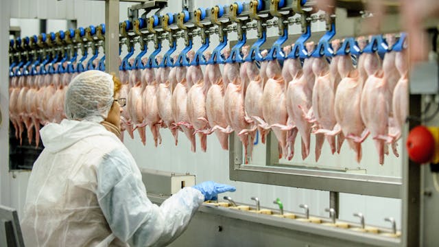 Teenaged worker suffers fatal injuries after getting caught in machinery, poultry processing plant fined $165K