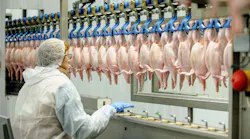 Teenaged worker suffers fatal injuries after getting caught in machinery, poultry processing plant fined $165K