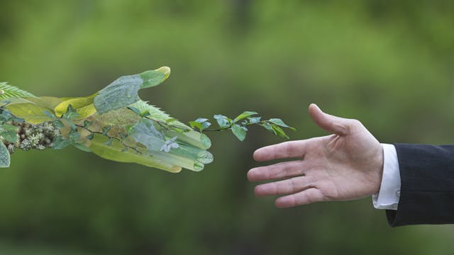 Mainspring Energy awarded $87M to build linear generator manufacturing plant in Pennsylvania