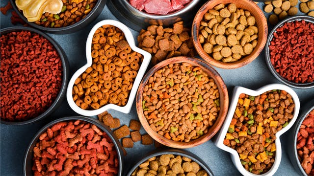 Farmina Pet Foods opens $115M premium pet food manufacturing facility in North Carolina
