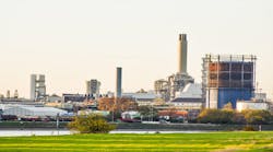 mfg_plant_grass mfg_plant_grass