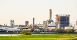 68b1bedc63948b7bd3f7458b Mfg Plant Grass 68b1bedc63948b7bd3f7458b Mfg Plant Grass