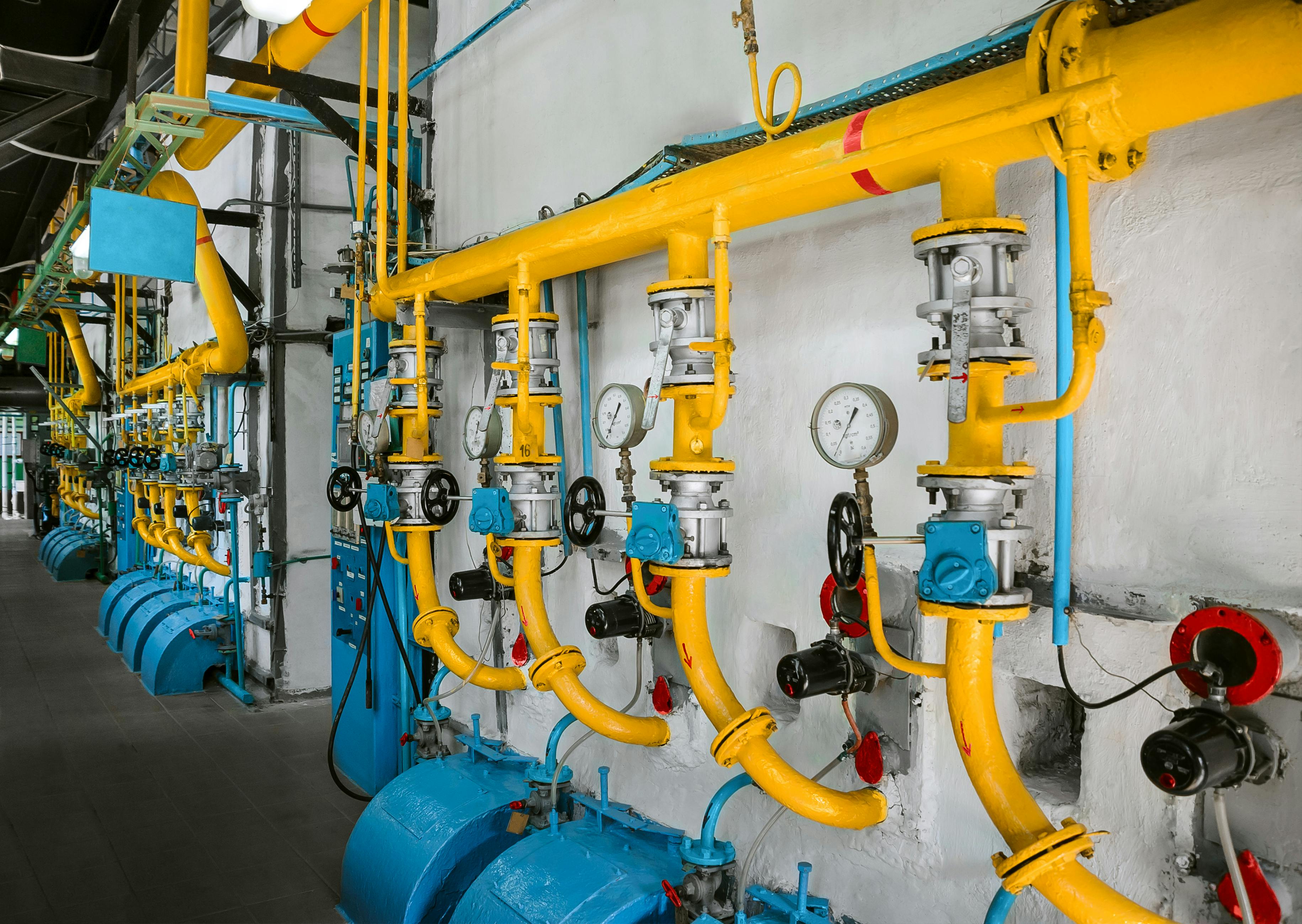 68b1f4d00a189d7e23880e1f Shutterstock 500741137