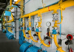 68b1f4d00a189d7e23880e1f Shutterstock 500741137 68b1f4d00a189d7e23880e1f Shutterstock 500741137