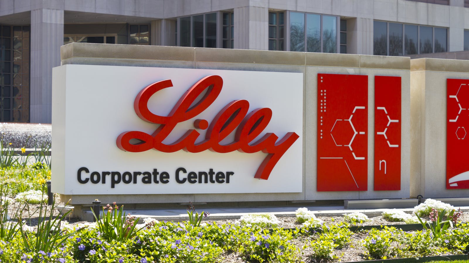 690386eb8d36796154c46a96 Elilillycojonathan Weissdreamstime