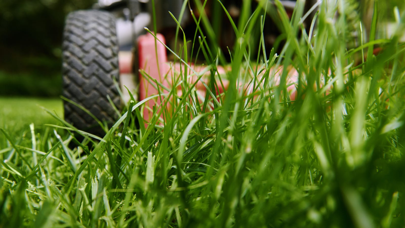 lawnmowerid_101777226mwiensdreamstime