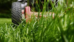 694ac4150a89ea126cb645eb Lawnmowerid 101777226mwiensdreamstime 694ac4150a89ea126cb645eb Lawnmowerid 101777226mwiensdreamstime