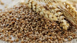 fibersid13620596elena_elissevadreamstime fibersid13620596elena_elissevadreamstime