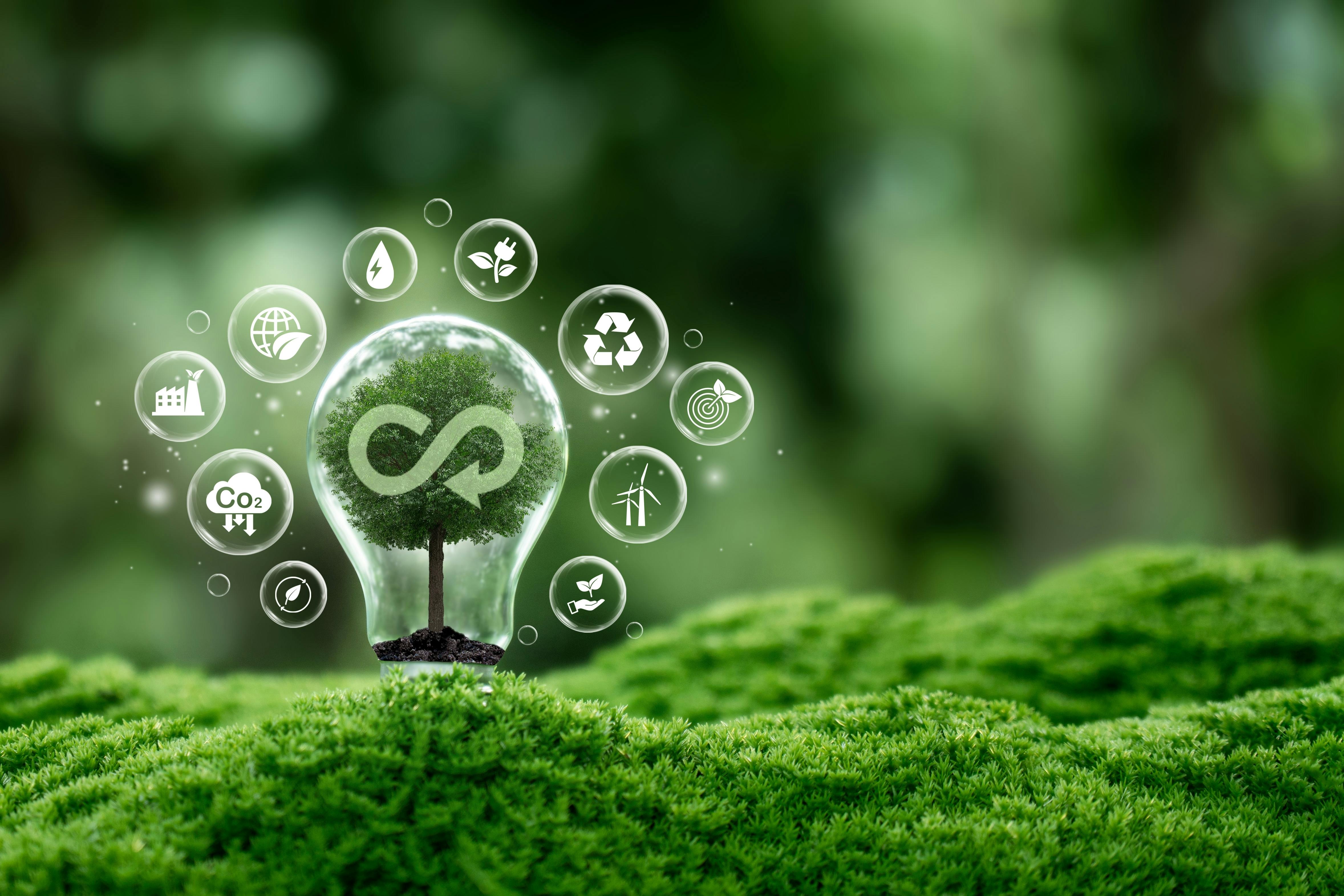 6984f9a6061ba6c727b28dca Shutterstock 2627789509