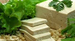 tofu3532635olga_makoveydreamstime tofu3532635olga_makoveydreamstime