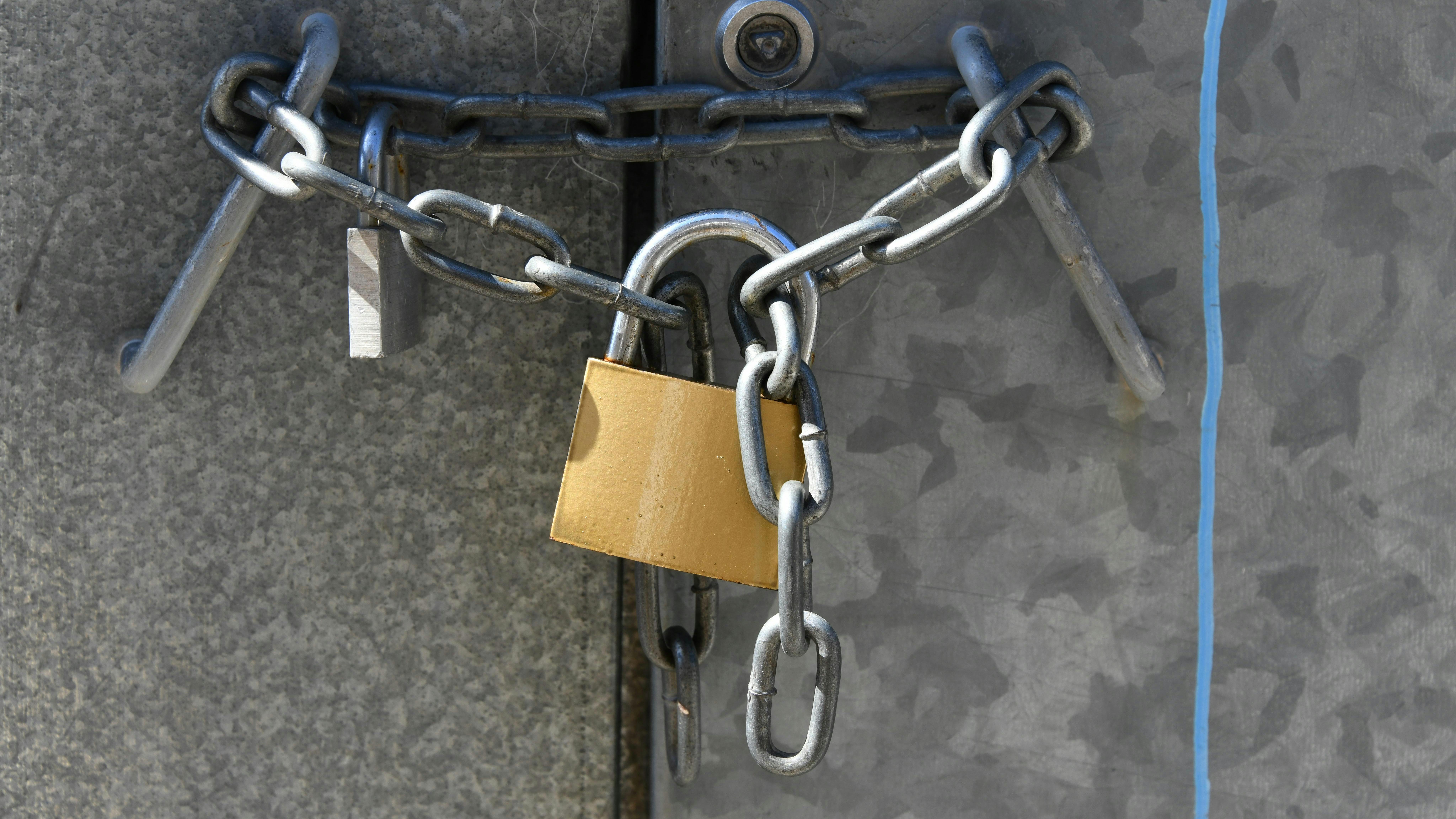 shutterstock_2770387045